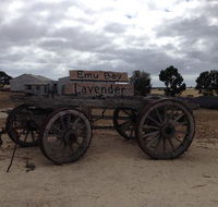 Emu Bay Lavender - Sydney 4u