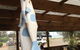 The Rockpool Cafe - thumb 5