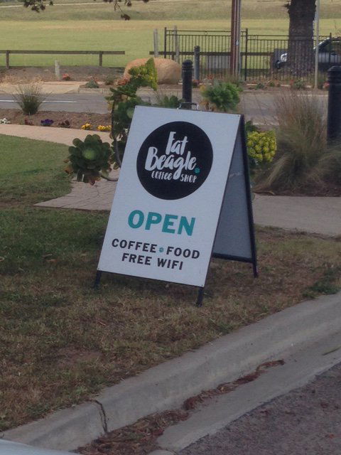 Fat Beagle Coffee Shop - Sydney 4u 3