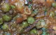 Riverland Tandoor Indian Restaurant - thumb 4