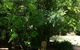 Kingfishers Cafe Restaurant - thumb 4
