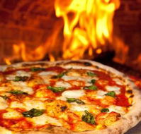 Piccolo Papa - Accommodation Sydney