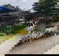 Kith 'n' Chow - Accommodation Sydney