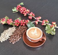 Simply Beans Coffee Roasters - Sydney 4u