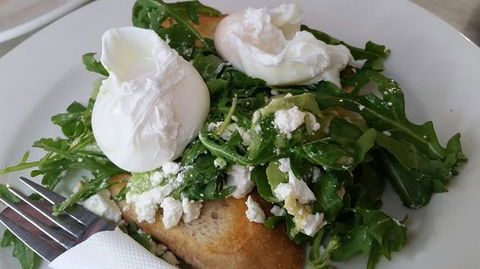 Jolt Bakery Cafe - Accommodation Sydney 0