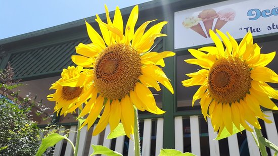 Numinbah Valley QLD Accommodation Sydney