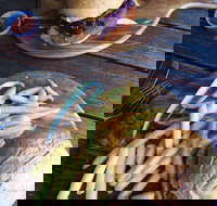 O'Reilly's Rainforest Retreat Dining Room - Accommodation Sydney