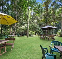 Rainforest - Sydney 4u