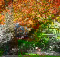The Woods Ravensbourne - Accommodation Sydney