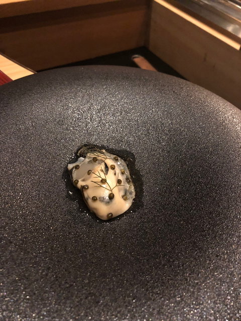 Kisume - Accommodation Sydney 3