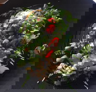 8days Cafe - Accommodation Sydney