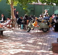 Alleycat Cafe - Sydney 4u