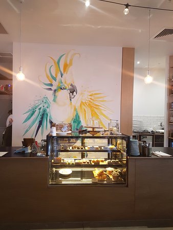 Armstrong Creek ACT Sydney 4u