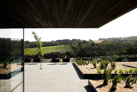 Jackalope Hotel - Accommodation Sydney 3