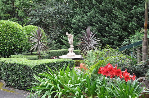 Escarpment Retreat - Sydney 4u 0