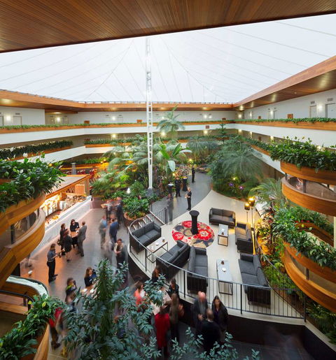 Pavilion on Northbourne - Accommodation Sydney 11