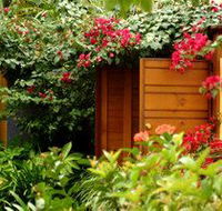 Pink Flamingo - Accommodation Sydney
