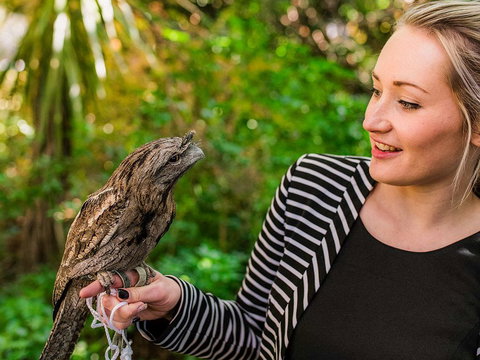 Mount Lofty House - Sydney Resort 1