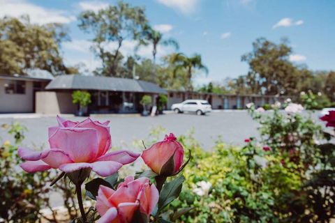 Artesian Spa Motor Inn - Accommodation Sydney 2