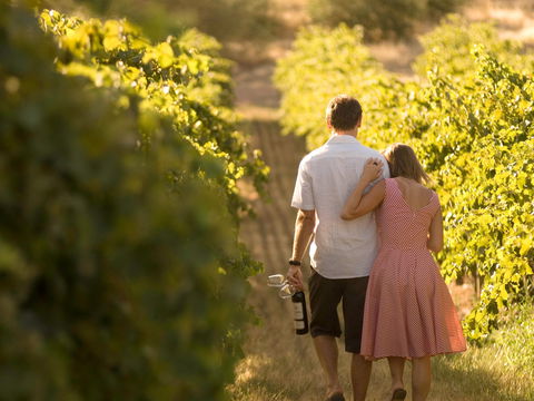 Novotel Barossa Valley Resort - Sydney 4u 1