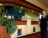 Bell Tower Inn - Accommodation Sydney 1