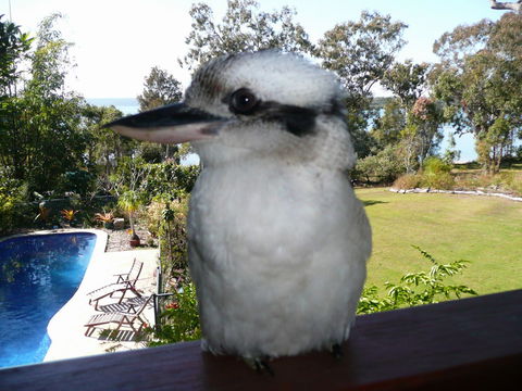 Yarrandabbi Dreaming Boutique B&B - Sydney 4u 2