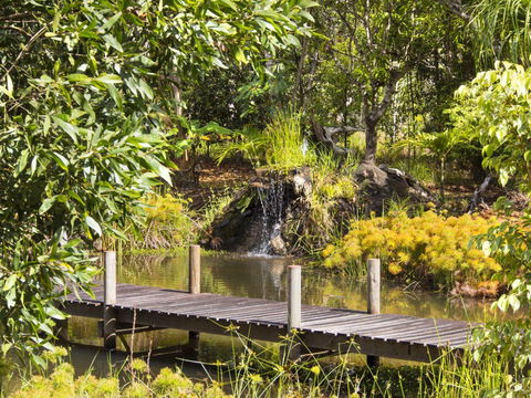 Cedar Park Rainforest Resort - Sydney 4u 0