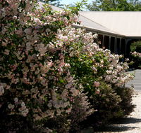 Wine Village Motor Inn - Accommodation Sydney