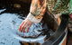 Spicers Tamarind  Retreat - thumb 5