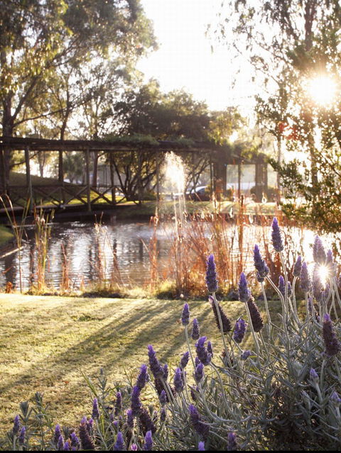 Hunter Valley Resort - Accommodation Sydney 0