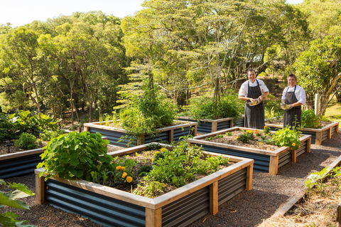 Spicers Tamarind  Retreat - Accommodation Sydney 1
