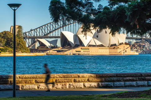 Holiday Inn Potts Point - Accommodation Sydney 15
