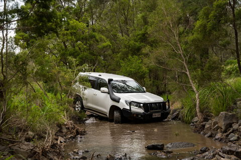 Spicers Hidden Vale - Accommodation Sydney 14