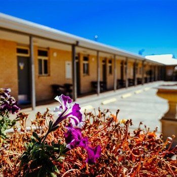 MAS Country Club Motor Inn - Sydney 4u 1