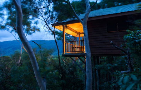 Thala Beach Nature Reserve - Accommodation Sydney 0