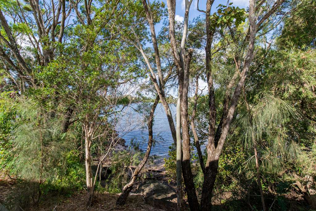 Diddillibah QLD Sydney 4u