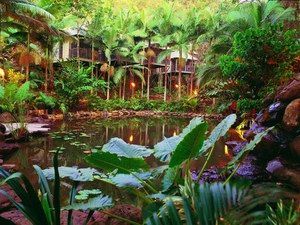 Daintree QLD Accommodation Sydney