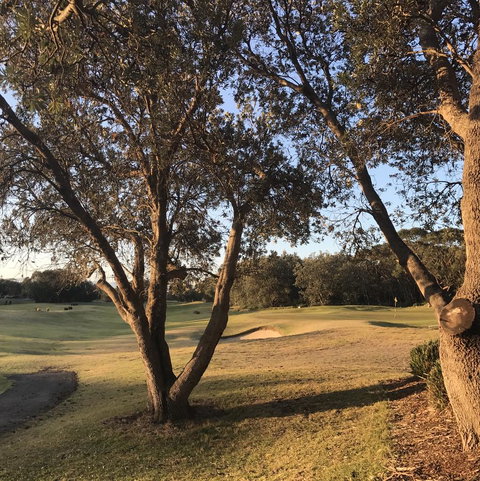 Bangalay Luxury Villas - Sydney Resort 37