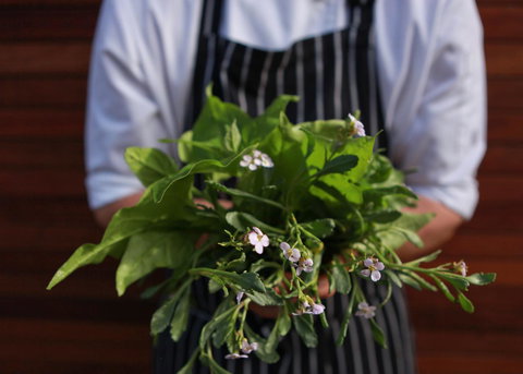 Bangalay Luxury Villas - Sydney Resort 35