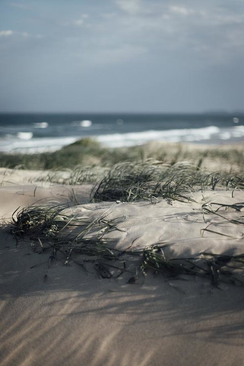 Bangalay Luxury Villas - Sydney Resort 9