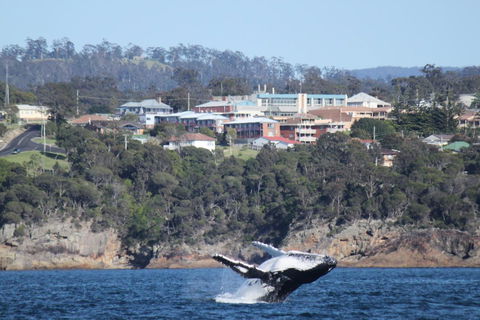 Heritage House Motel & Units - Sydney 4u 27