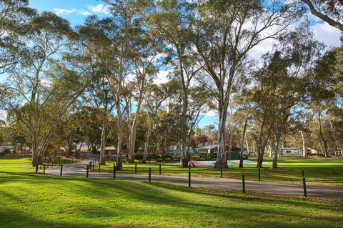 Discovery Parks - Clare - Sydney 4u 19