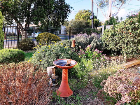 Beautiful Garden House - Sydney 4u 21