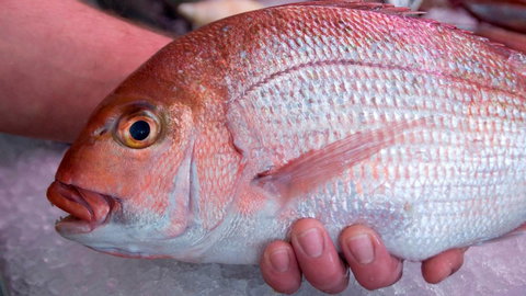 Mollymook Beach Waterfront - Sydney Resort 16