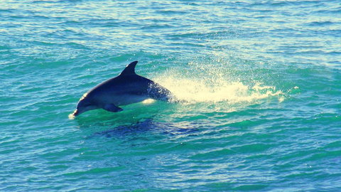 Mollymook Beach Waterfront - Sydney Resort 22