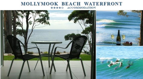 Mollymook Beach Waterfront - Sydney Resort 1