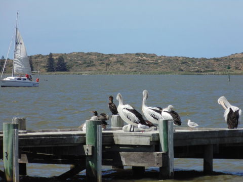 Baronet B & B - Sydney 4u 20