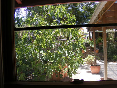 Trevalia Accommodation - Sydney 4u 4