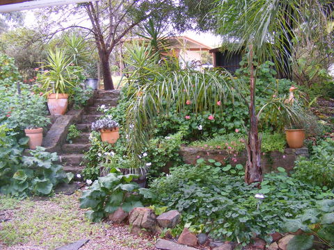 Trevalia Accommodation - Sydney 4u 12