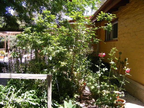 Trevalia Accommodation - Sydney 4u 7
